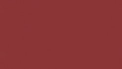 U0 Salsa Linoleum