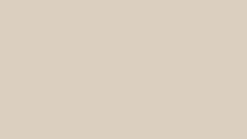 U4 Mushroom Linoleum