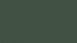 UE Conifer Linoleum