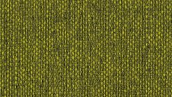 Chip - Q1 00012