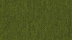 Chip - Q1 00013