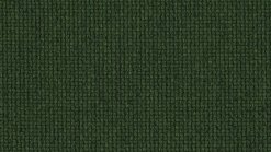 Chip - Q1 00014