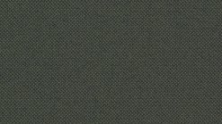 Revive 1 - Q0 00974