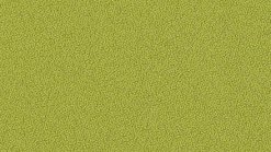 Mirage - J3 00464