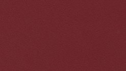 Pelle Thema 5042