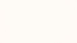 X0 Fenix White laminate