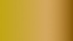 Z4 Tropical Yellow galvanization